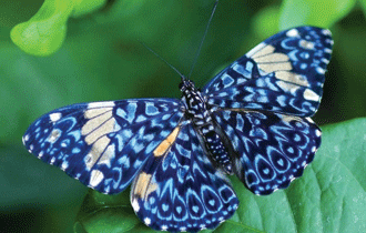 khí sạch vẫn bán được