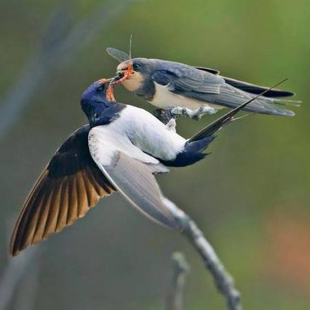 Đầu tư: Dịch vụ môi trường lên ngôi