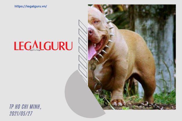 Thú cưng “táp” người, chủ có phải chịu trách nhiệm