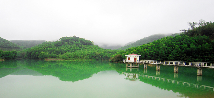 Chợ Đu cần tìm chủ đầu tư