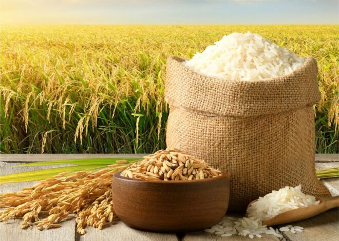 Gạo Việt Nam Ra Thế Giới: Thị Trường Nóng Và Thủ Tục Xuất Khẩu Cần Biết?