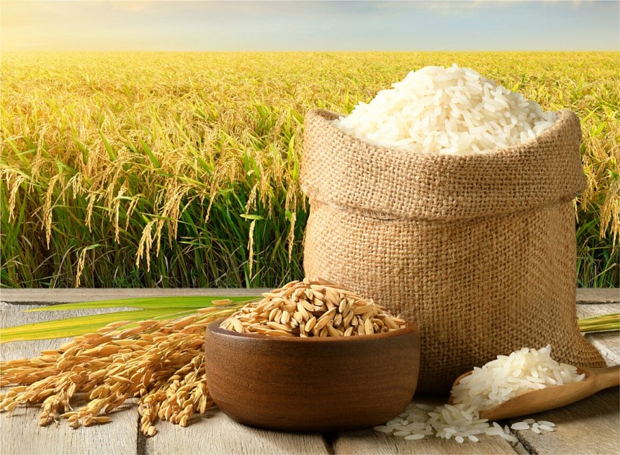 Gạo Việt Nam Ra Thế Giới: Thị Trường Nóng Và Thủ Tục Xuất Khẩu Cần Biết?