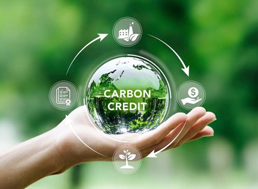 Carbon – Thị Trường Xanh Trong Thời Đại Mới