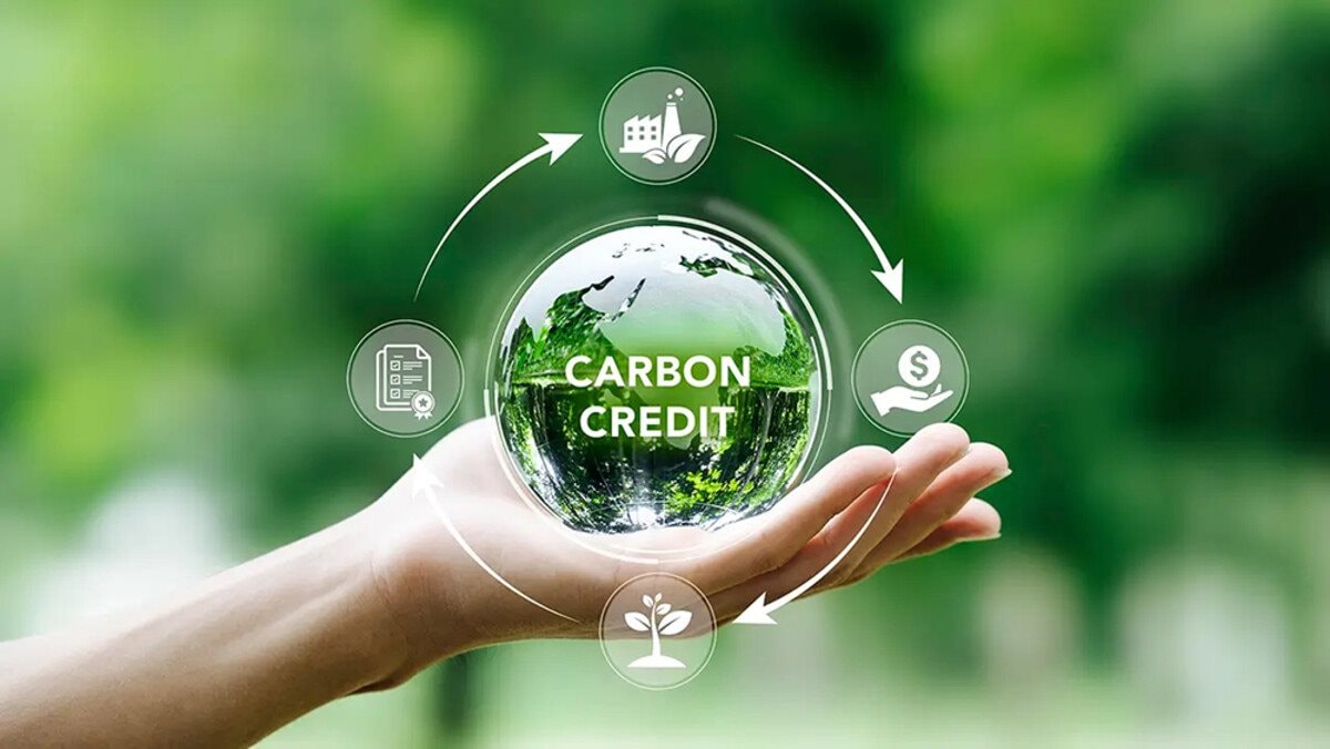 Carbon – Thị Trường Xanh Trong Thời Đại Mới